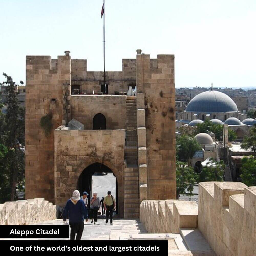 Aleppo citadel