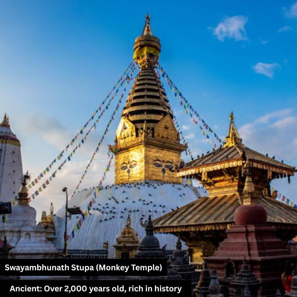 swayambhunath stupa(monkey temple)