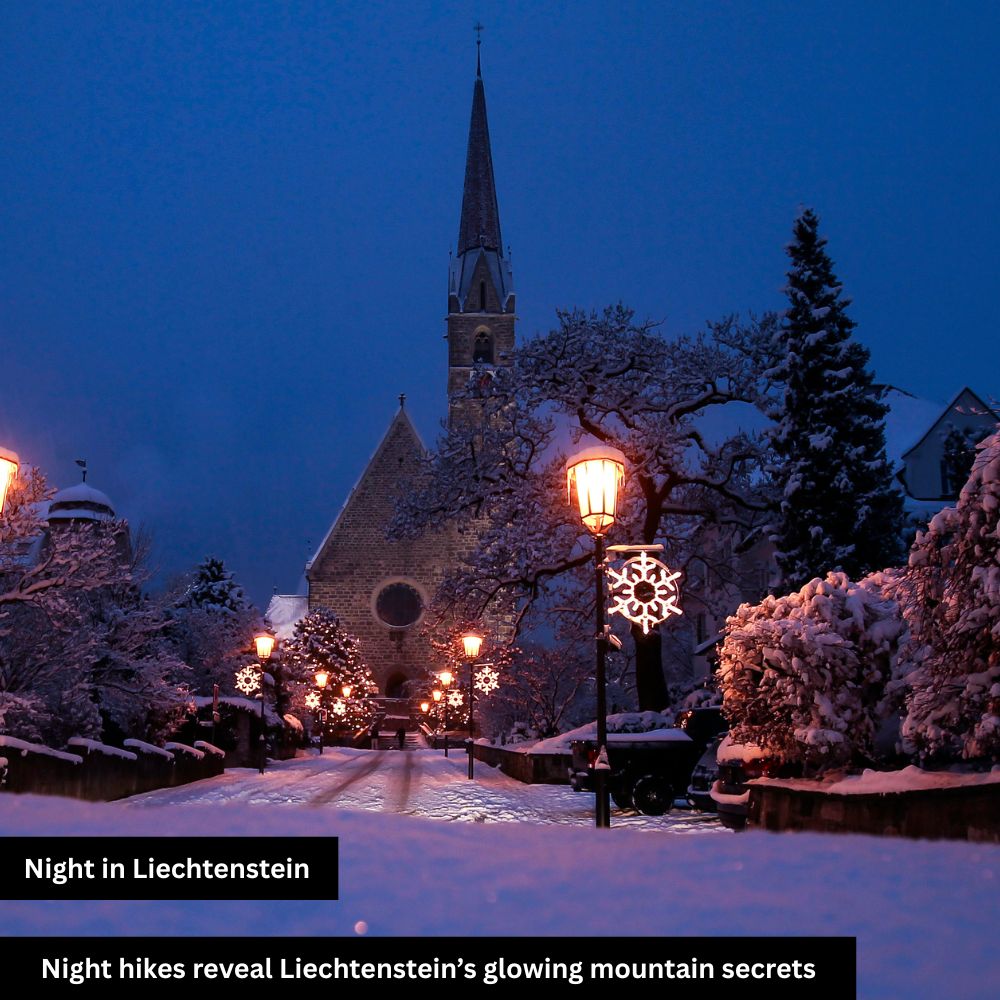 Liechtenstein night view mountains with snow