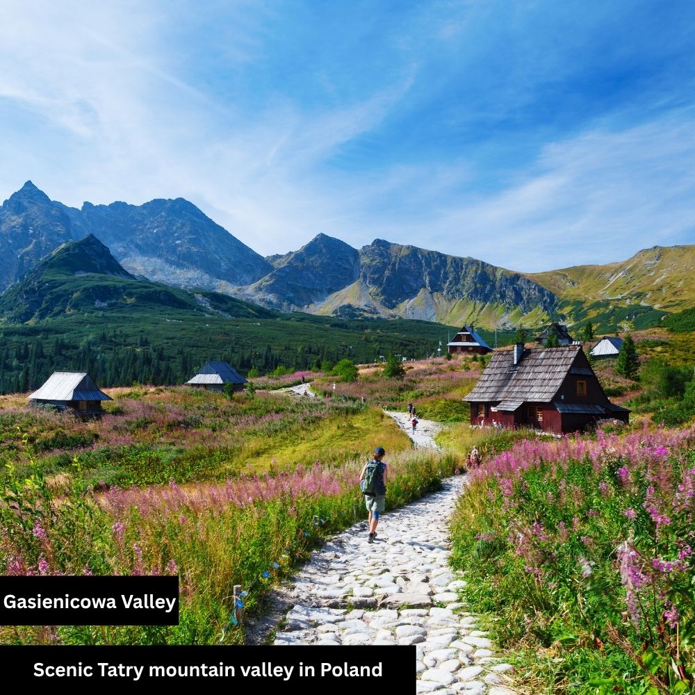 Gasienicowa valley