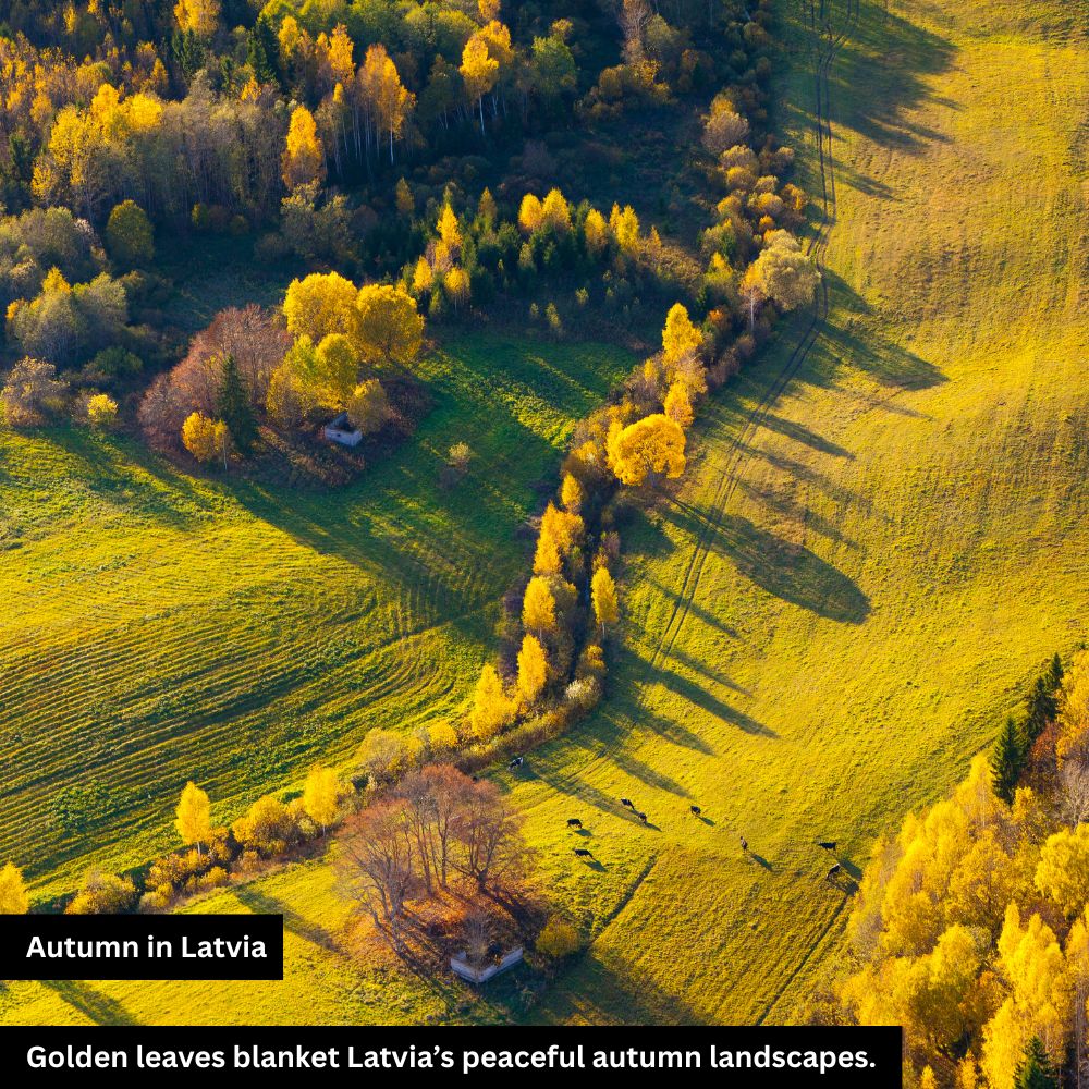 autumn in latvia