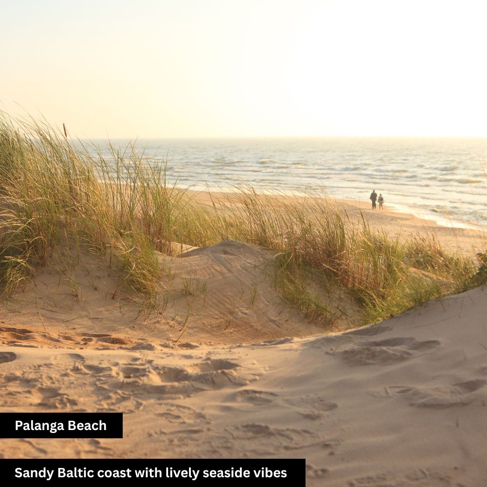 Palanga beach
