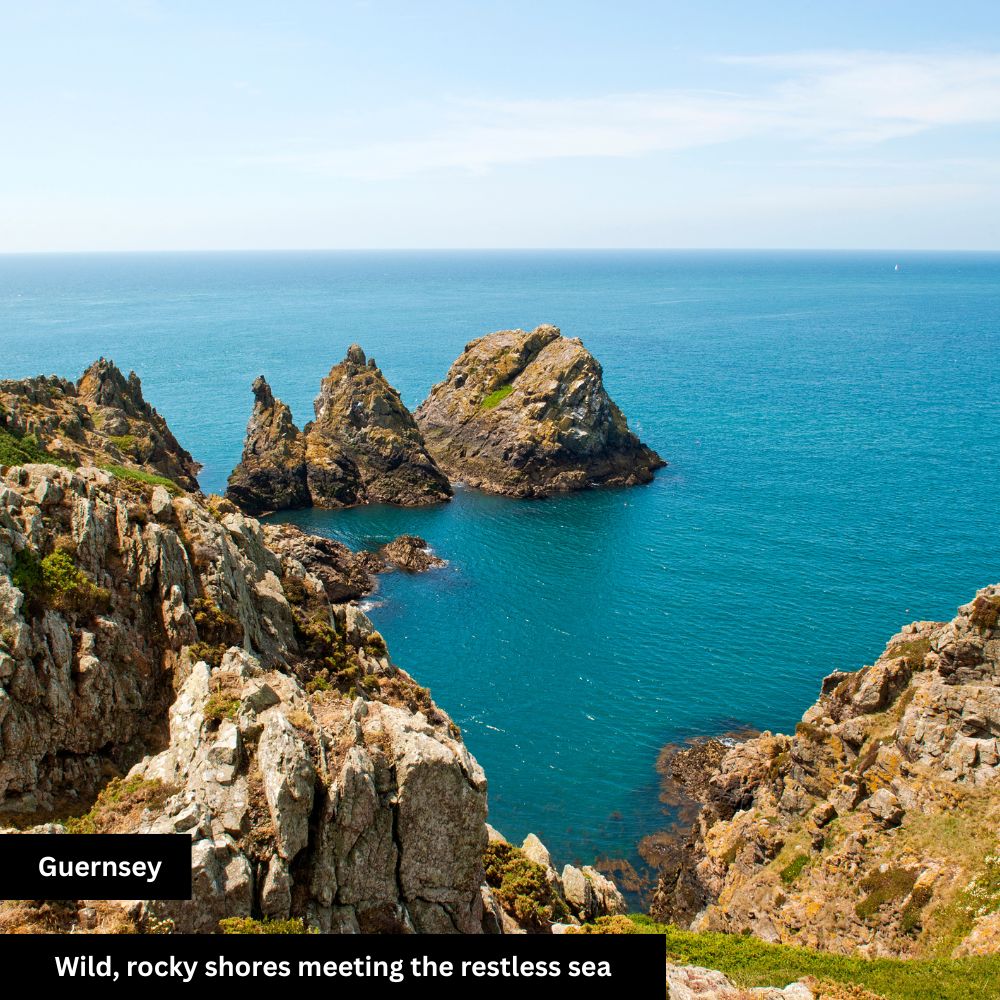 wild rocky shores