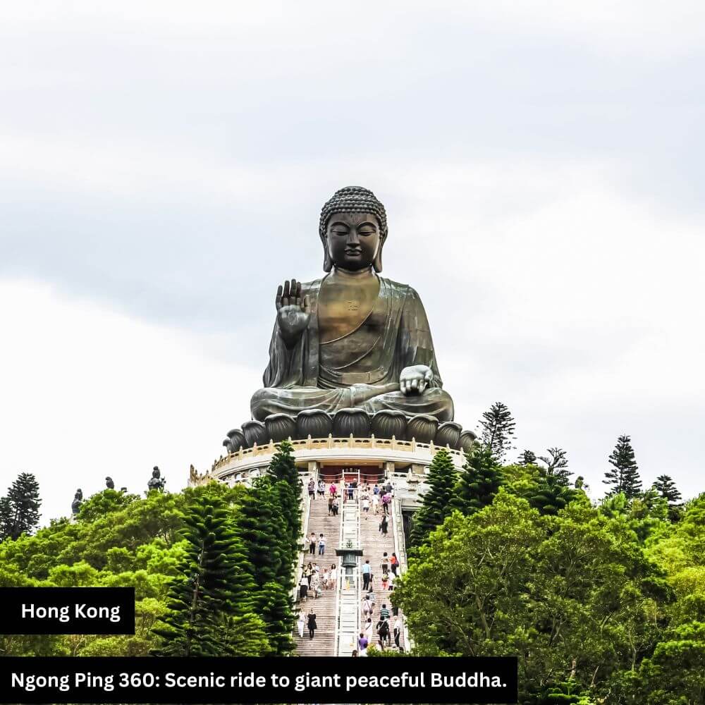 Buddha pic