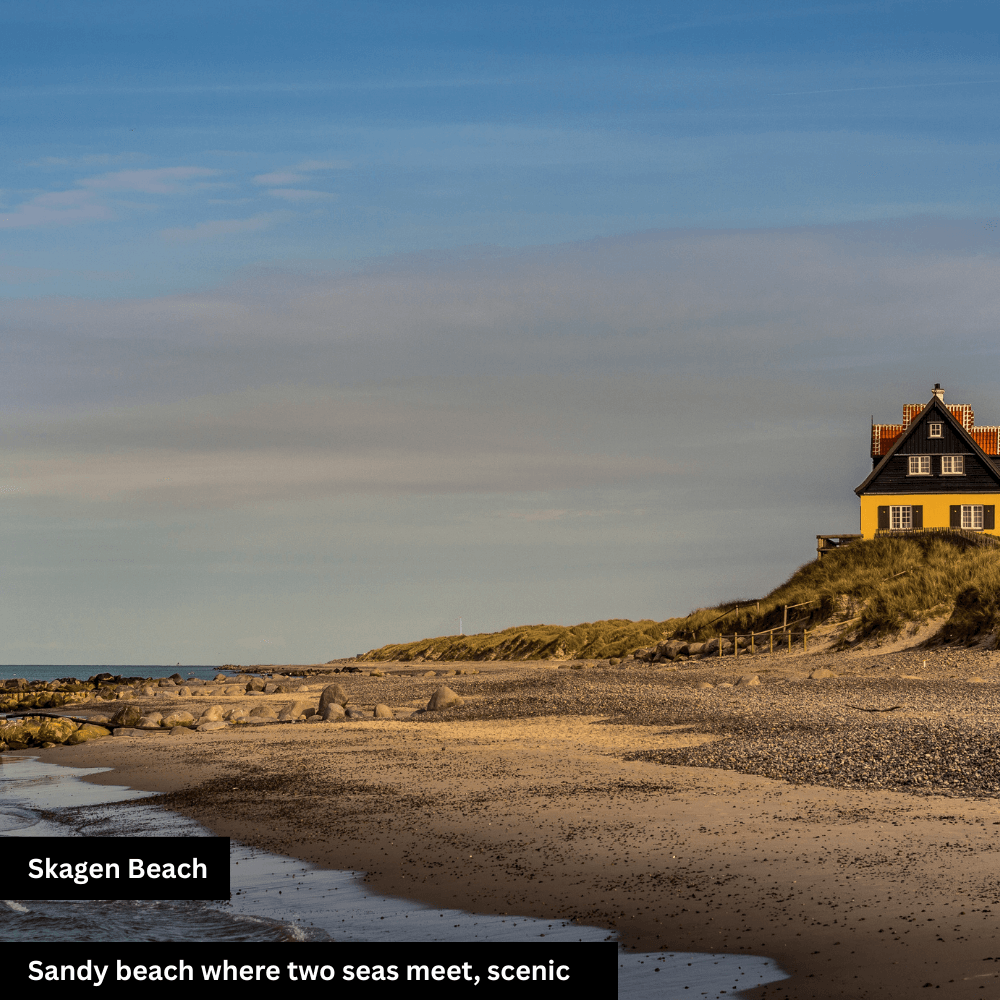 Skagen Beach