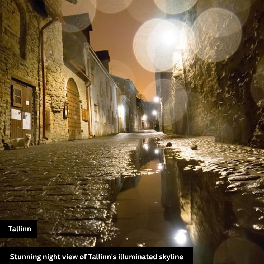 stunning night view of street in tallinn