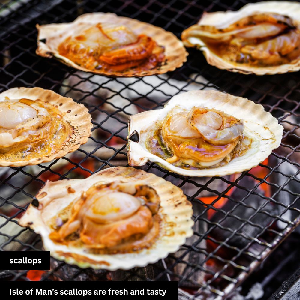 scallops