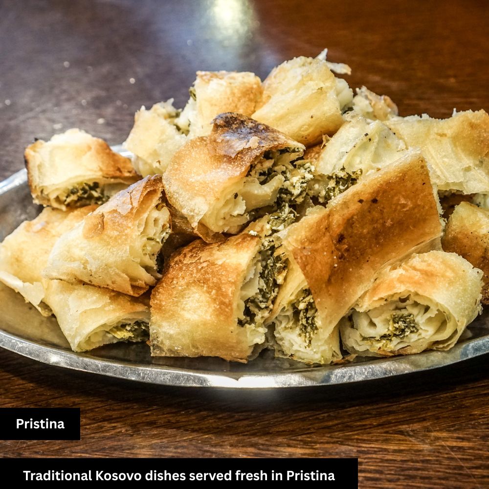 Pristina Dish