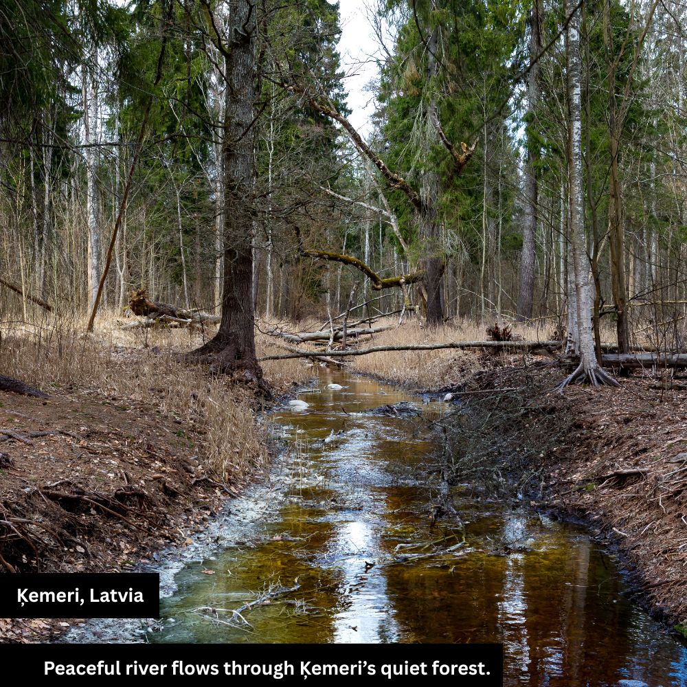 Kemeri river in latvia