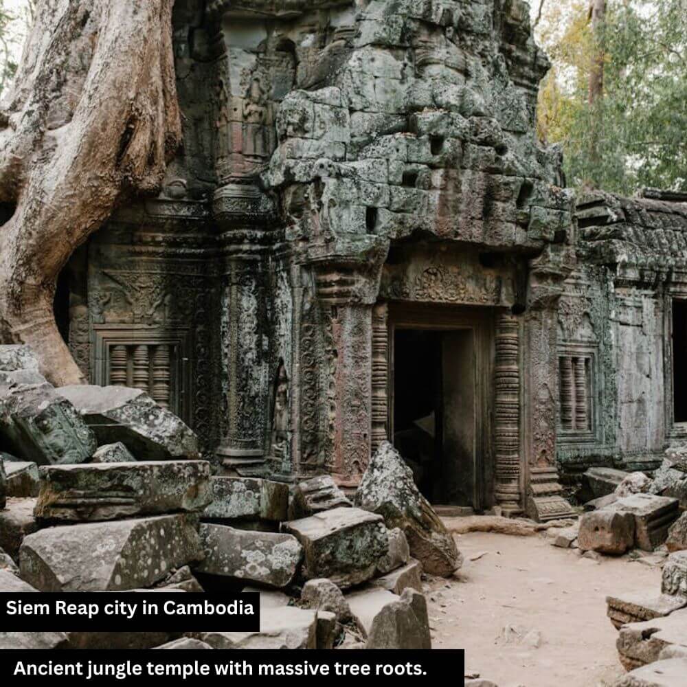 ancient jungle temple siem reap