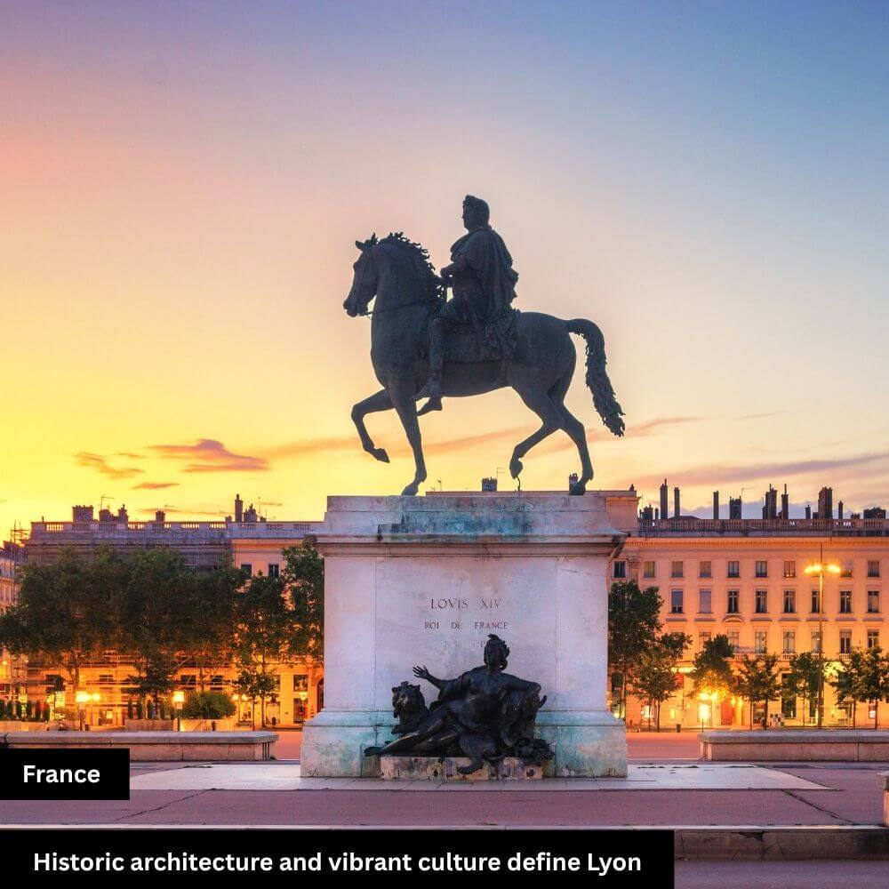 culture define lyon