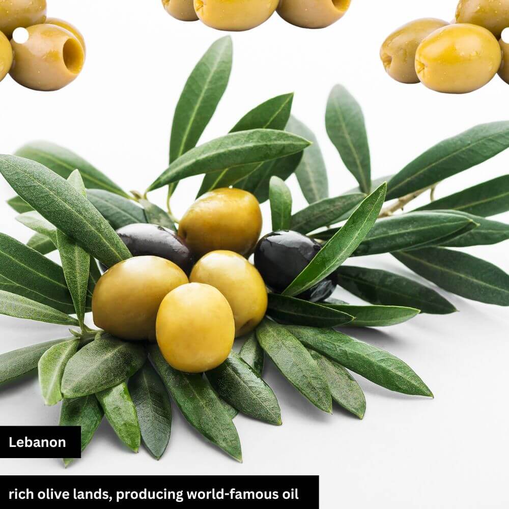 Rich olives