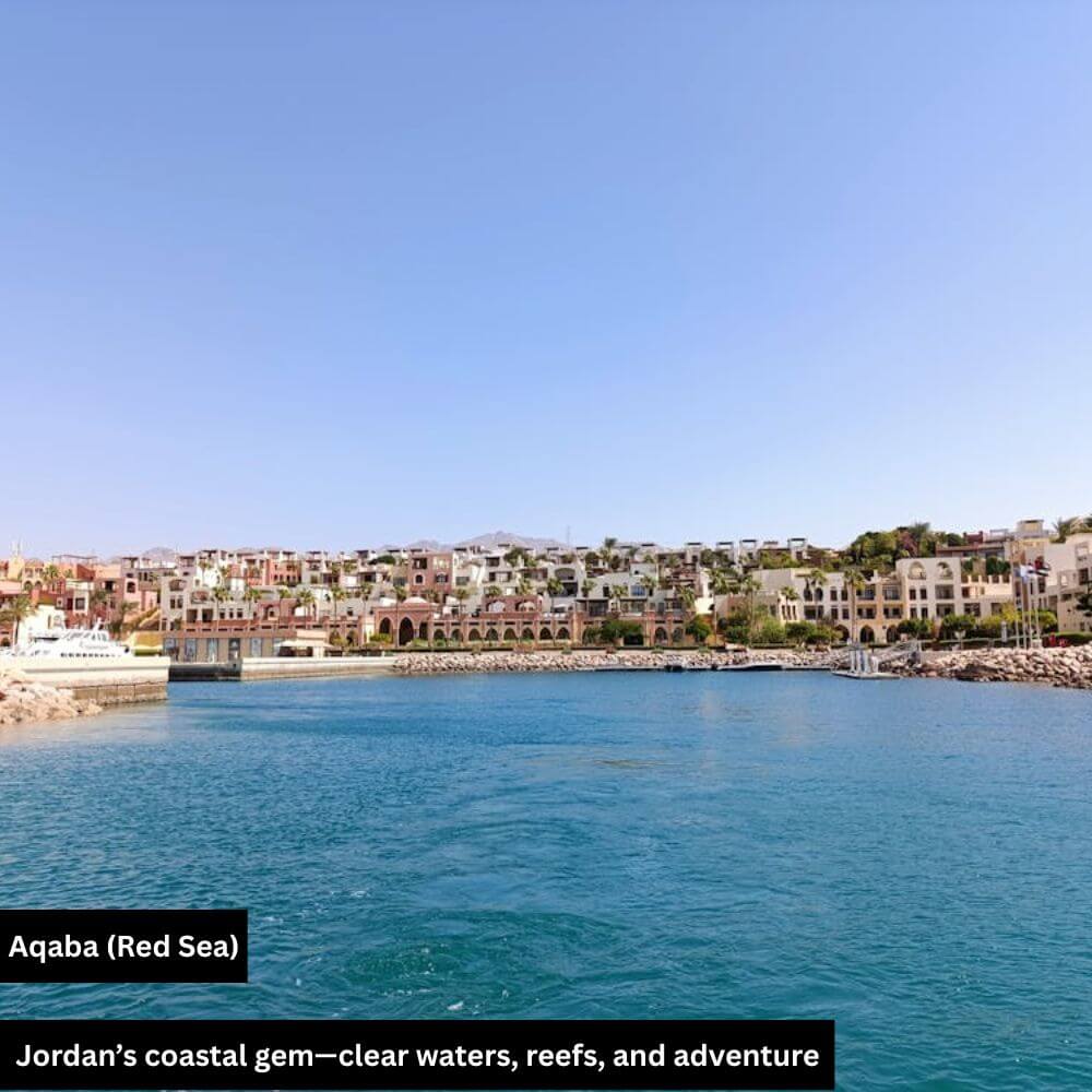 aqaba red sea
