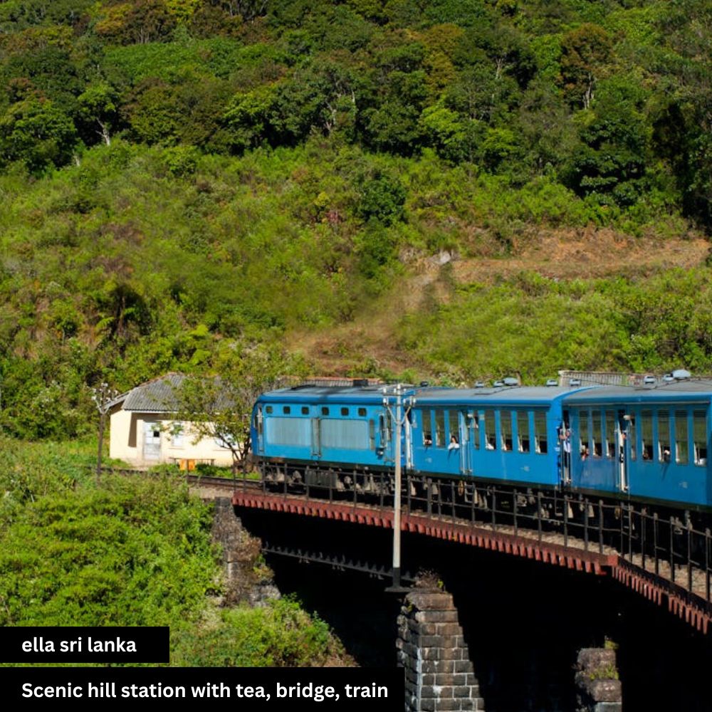 ella,hill station blue train a bridge