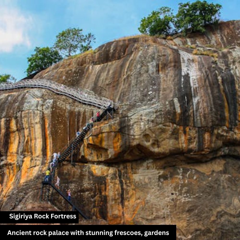 sigiriya rock forest