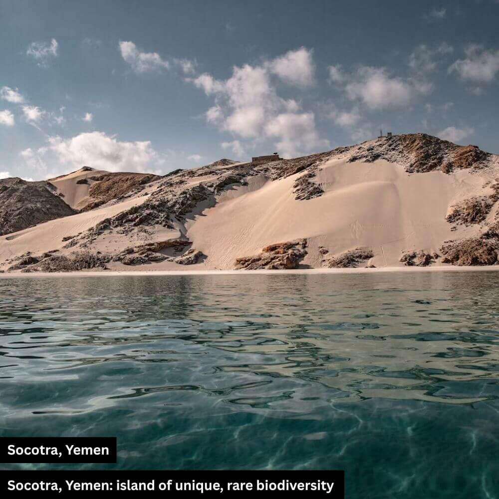 socotra