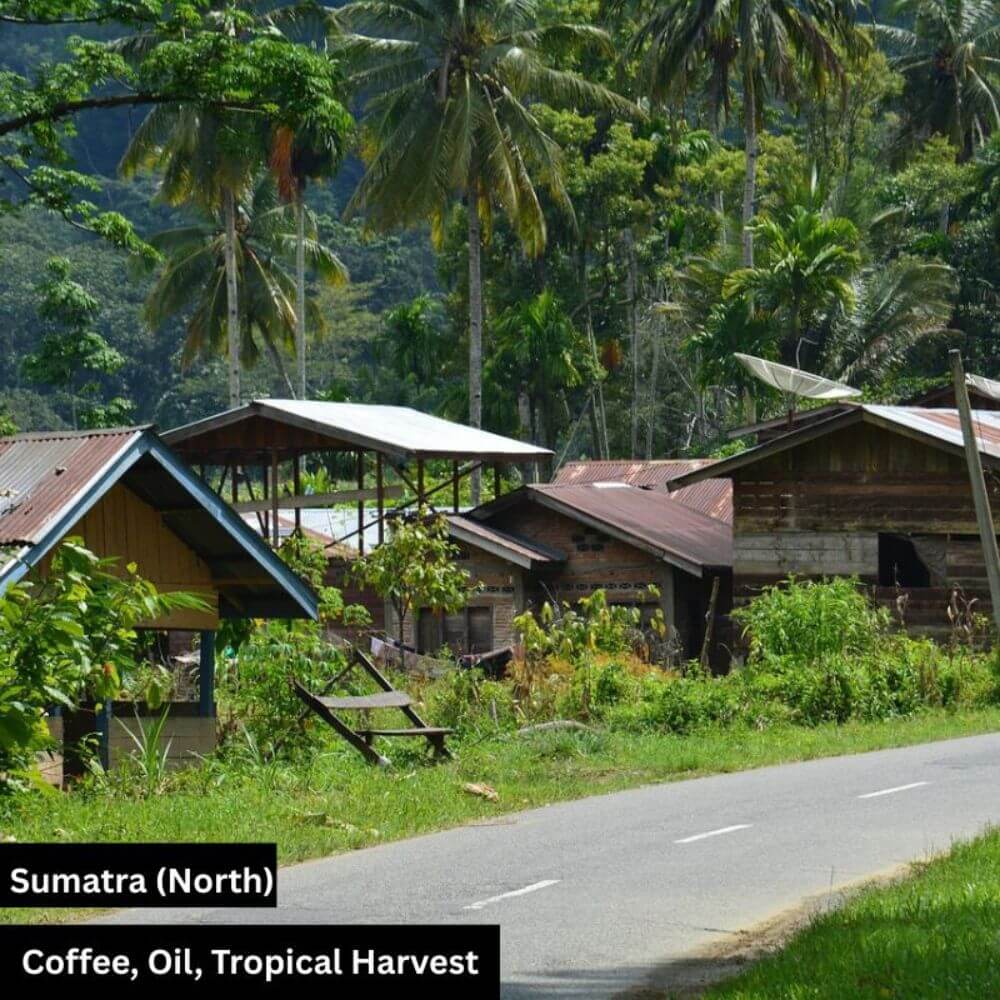 sumarta (north) java