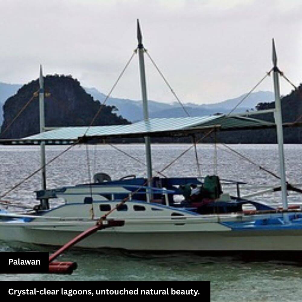 palawan natural beuty sea bot