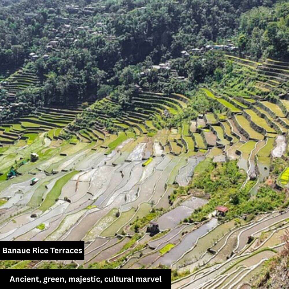 Banaue rice Terraces